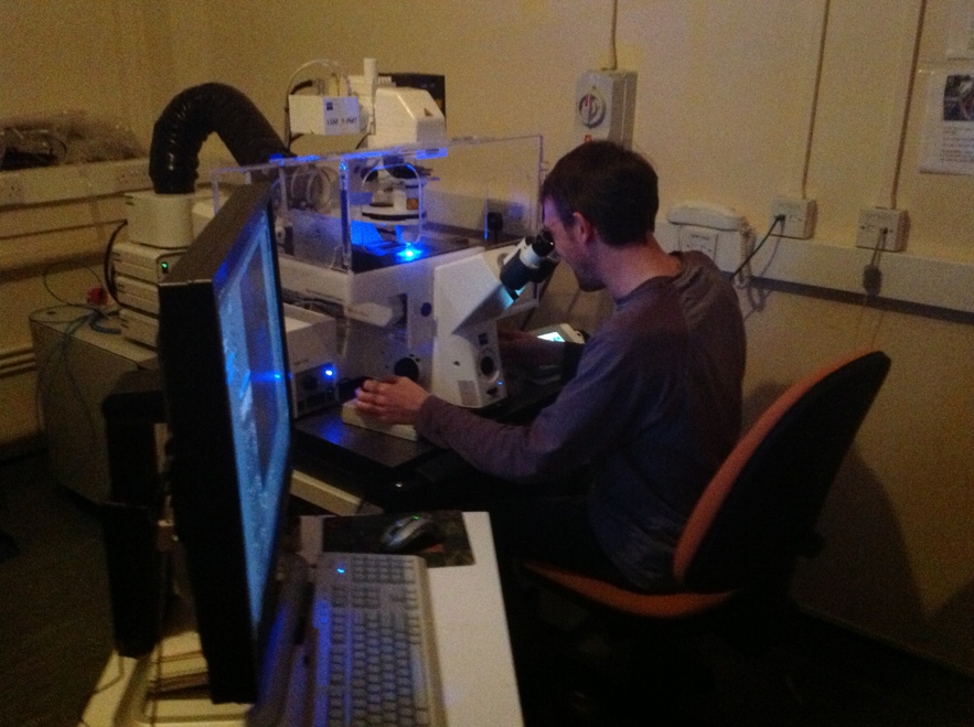 Confocal Microscope