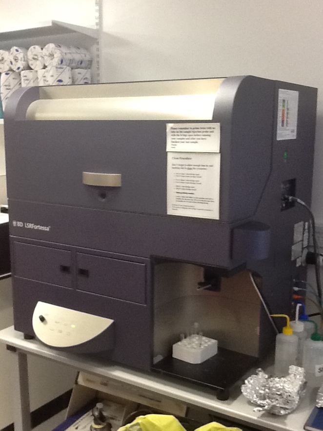 BD Fortessa Flow Cytometer