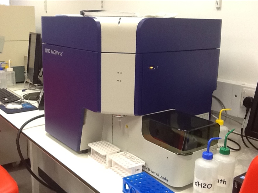 BD FACSVerse Flow Cytometer