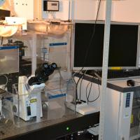 Andor spinning disk confocal microscope