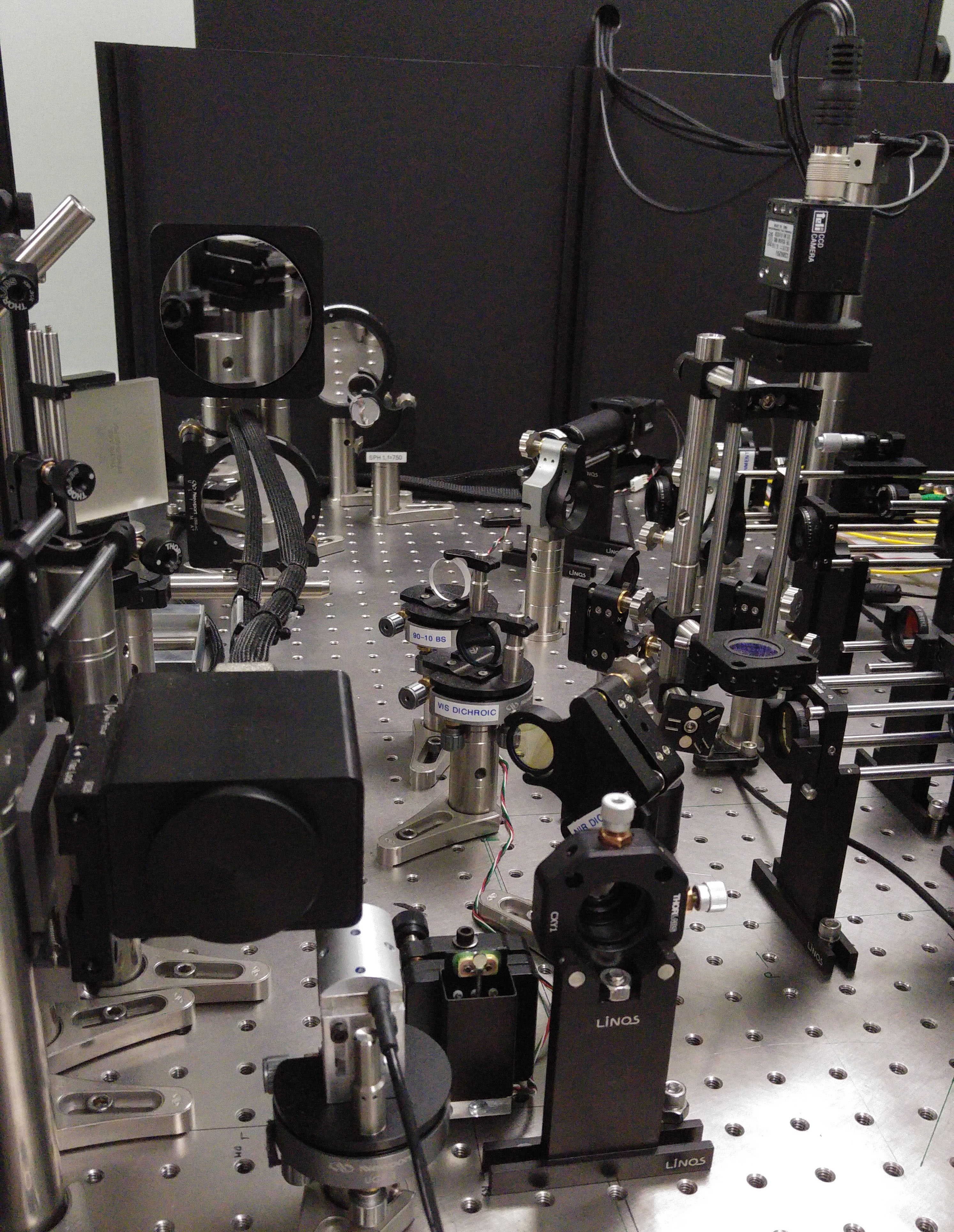 Adaptive Optics Scanning Laser Ophthalmoscope