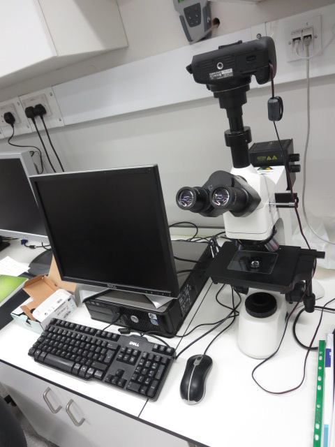 Universal Compound Microscope