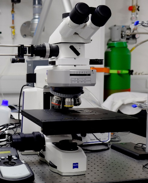 Upright Optical Microscope