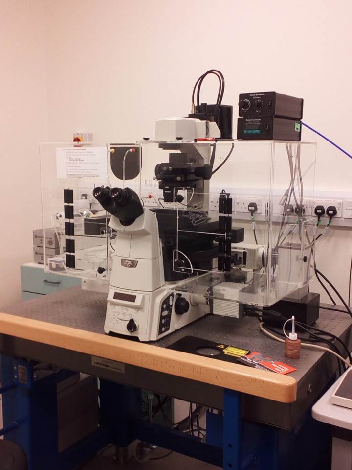 Confocal Microscope (IIT. Royal Free Campus)