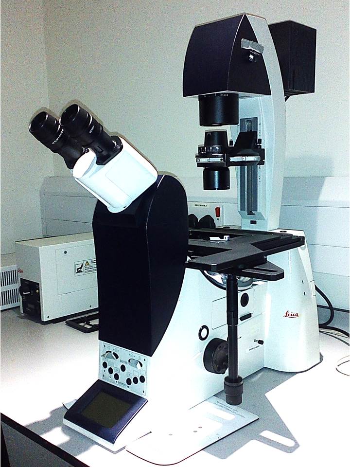 Inverted Fluorescence Microscope (IIT. Royal Free Campus)