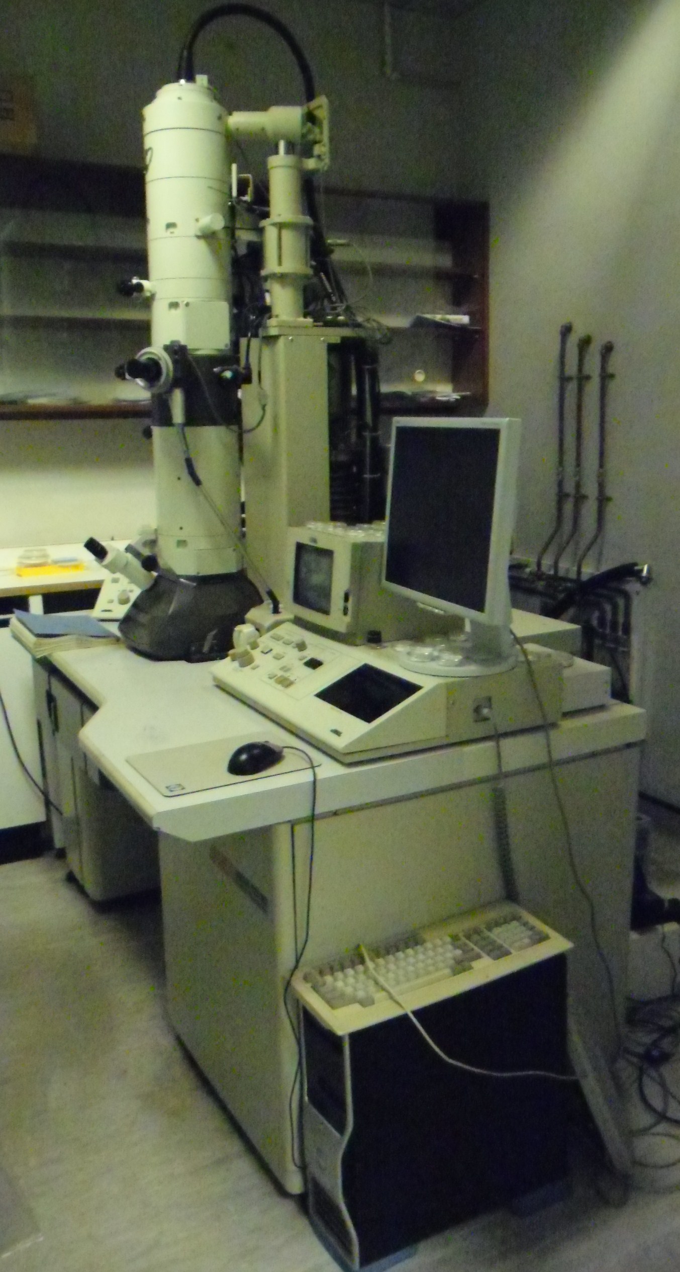 Transmission Electron Microscope (TEM)