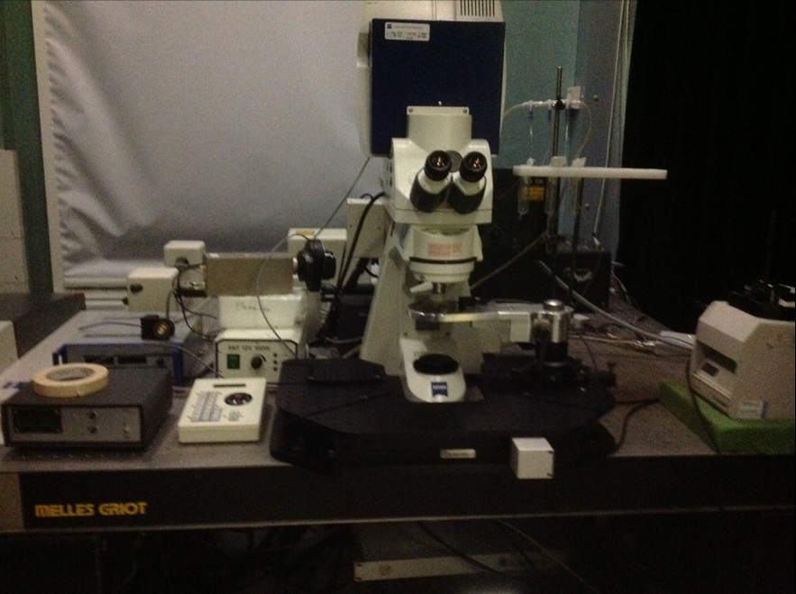 Multi-photon Confocal microscope