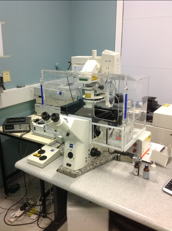 Confocal Microscope