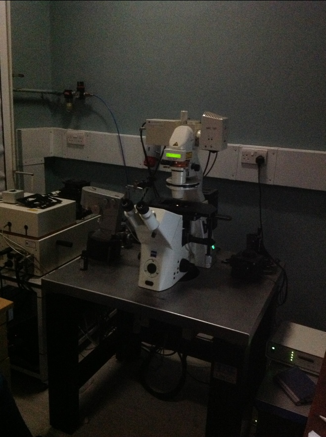 Confocal Microscope