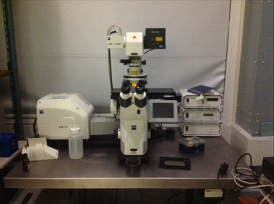 Confocal Microscope