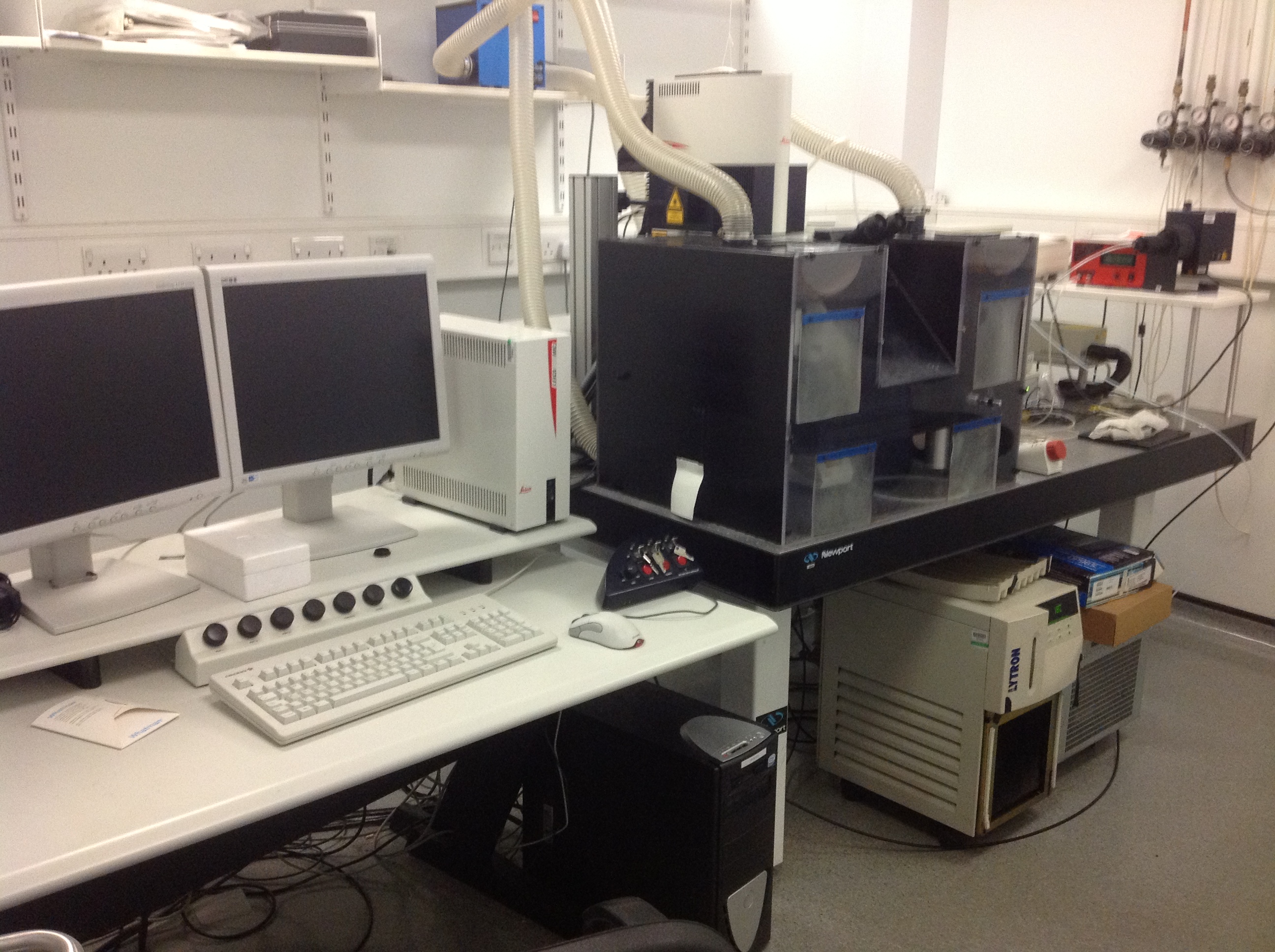 Multi-photon microscope