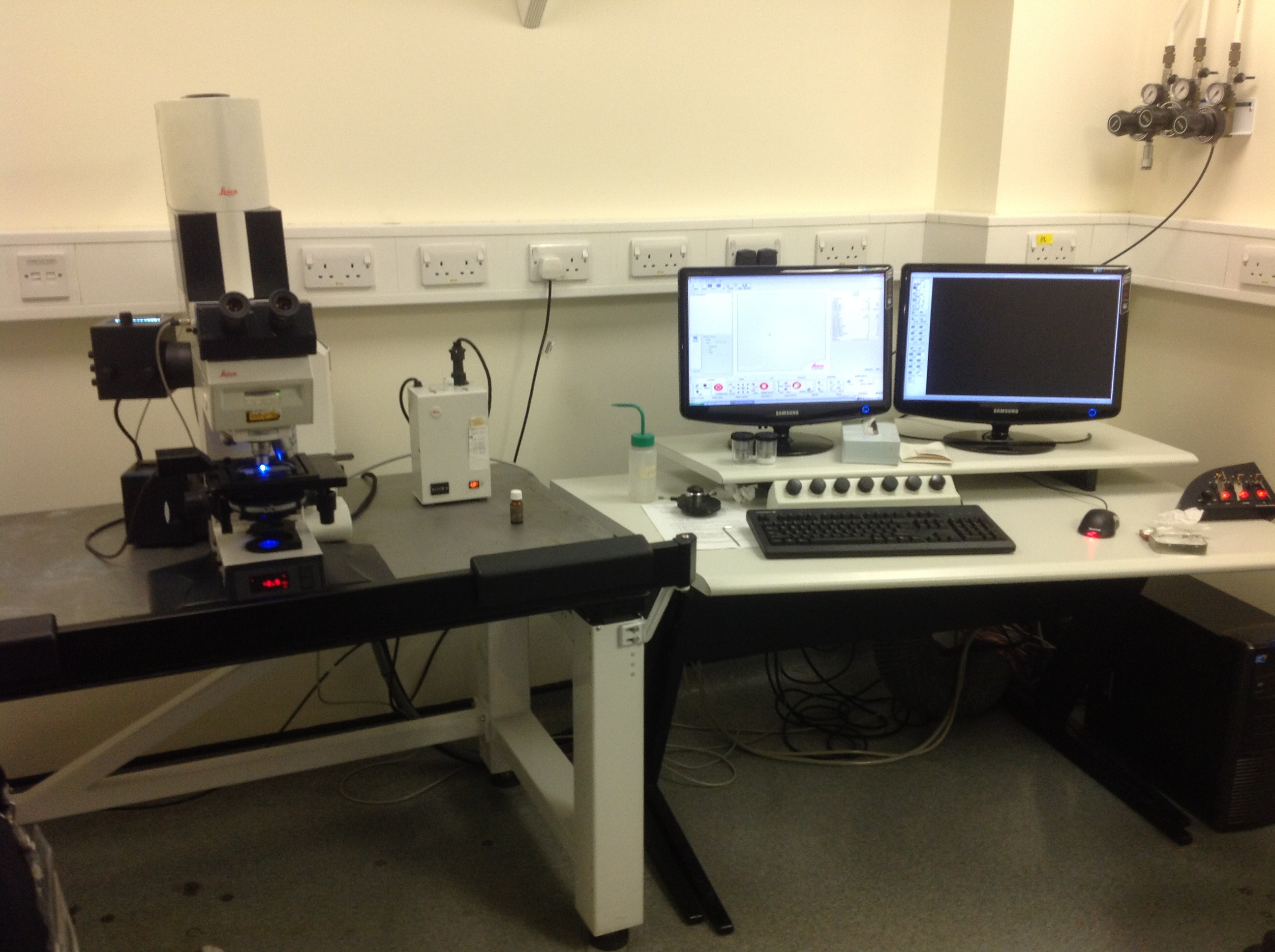 Confocal Microscope