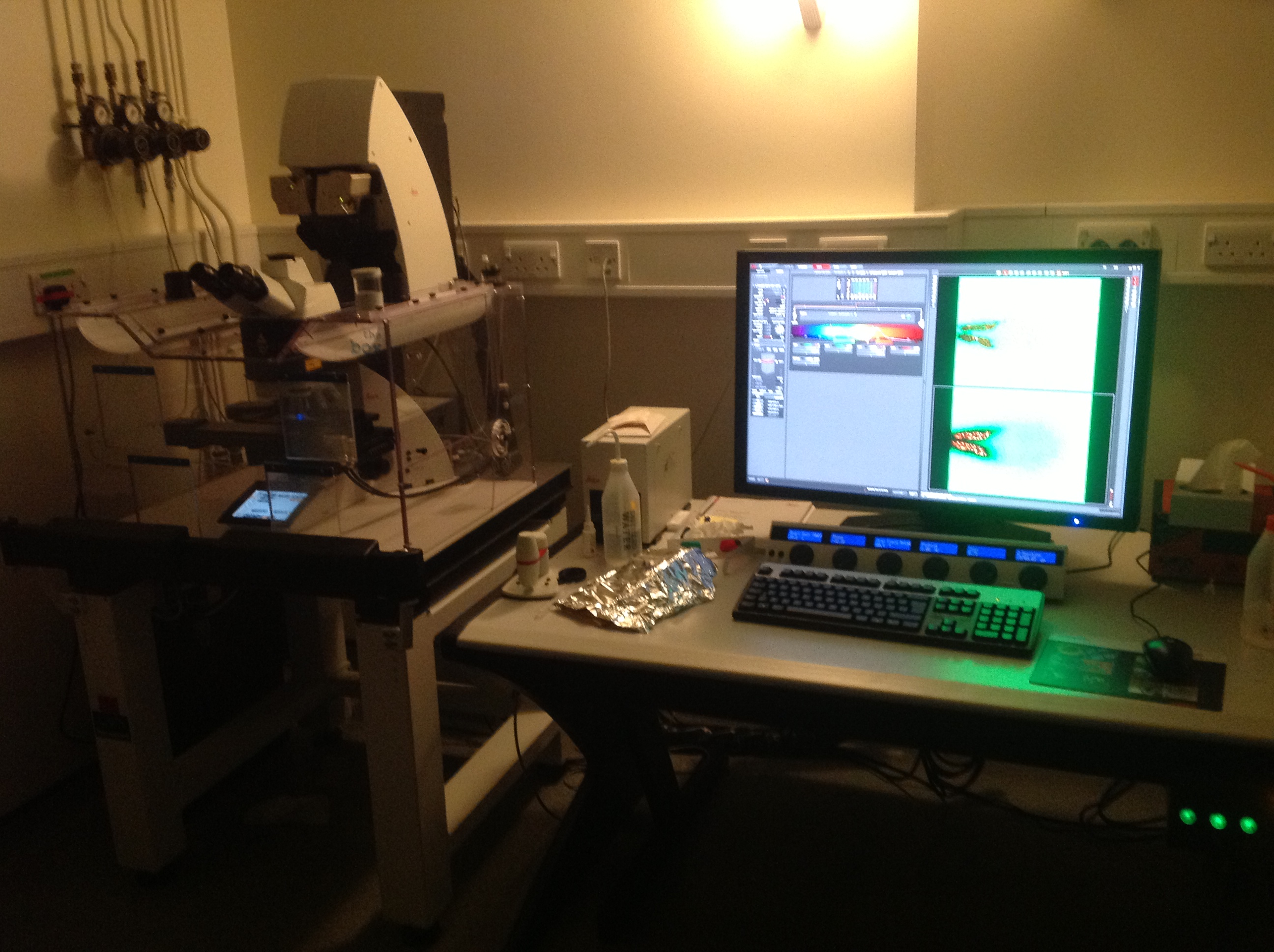 Confocal Microscope